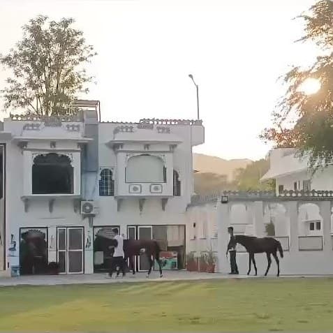 Two horses being walked along the front of the house at sunset, one on the drive and one on the grass, with the arcaded verandah and the Aravalli hills behind them.