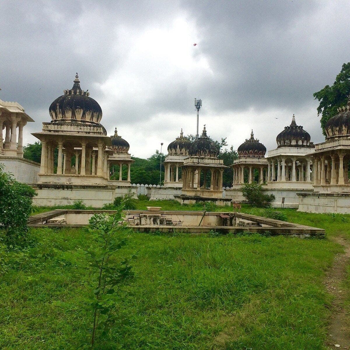 Domed marble cenotaphs on carved pillars standing in long monsoon grass under a heavy grey sky at Ahar