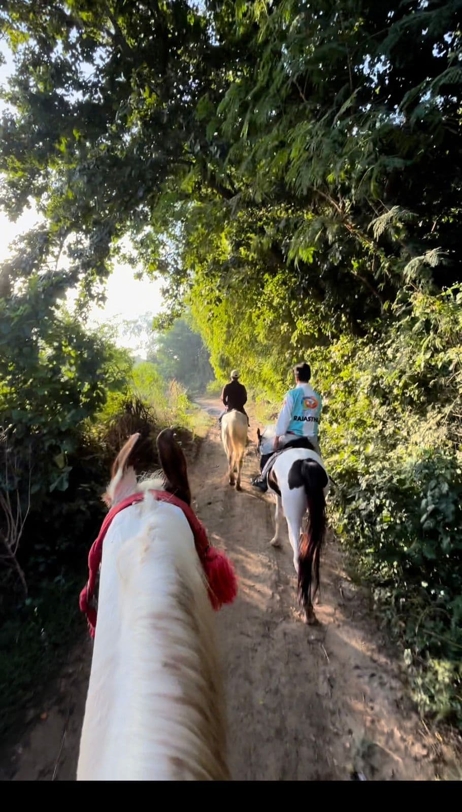 The view from the saddle on a narrow dirt track, following two other riders under overhanging green trees